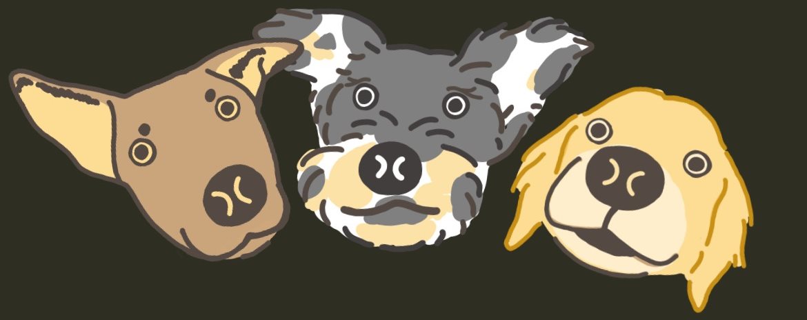 三犬插畫